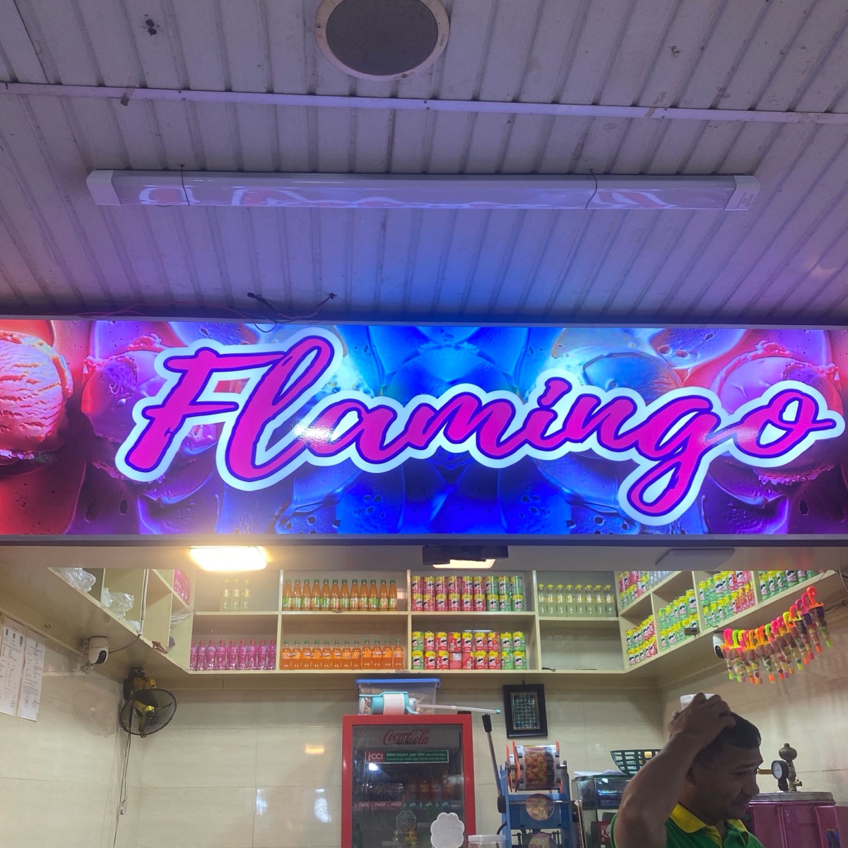Flamingo