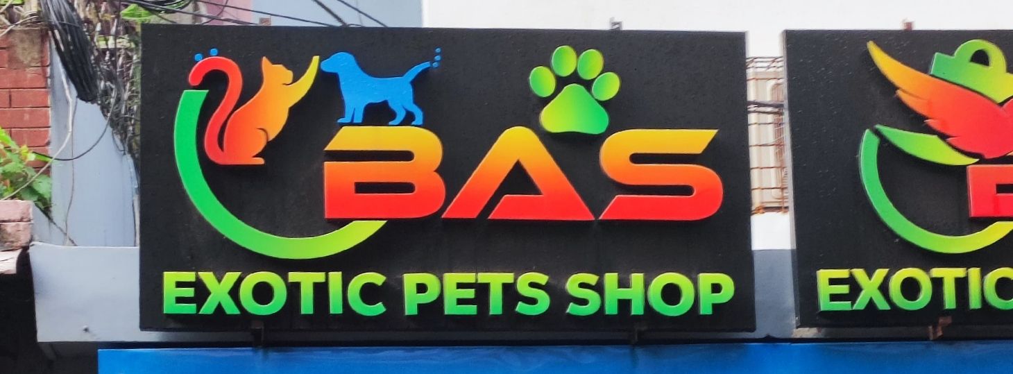 BAS- Exotic Pets Shop