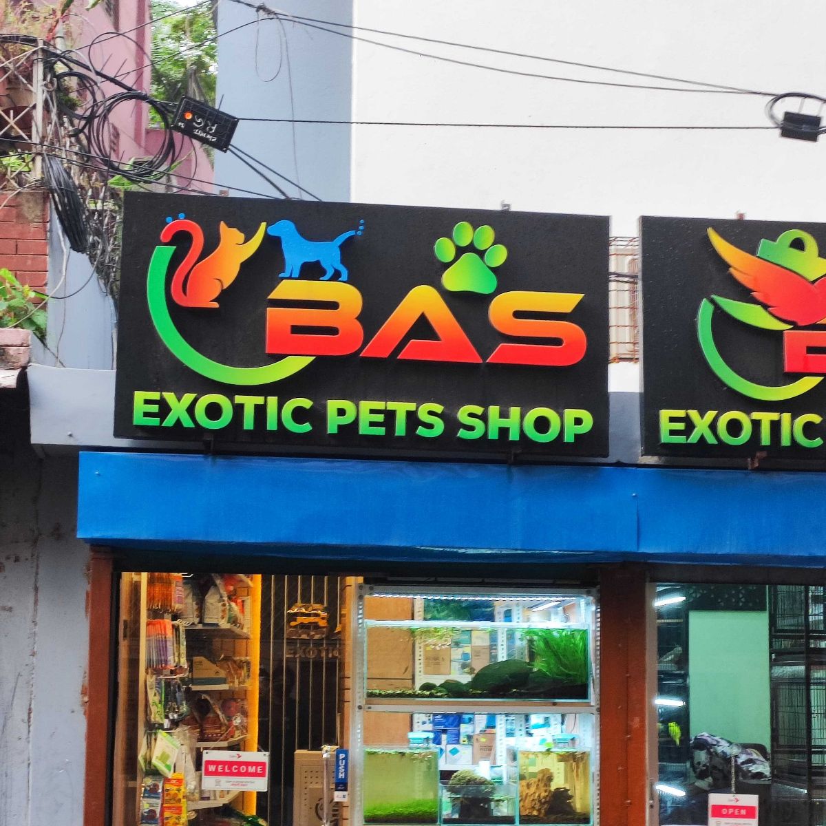 BAS- Exotic Pets Shop