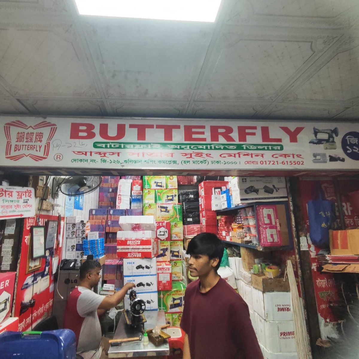 Butterfly