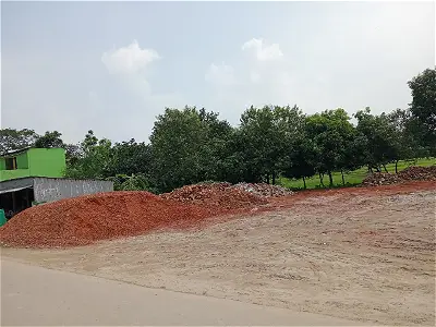 Field