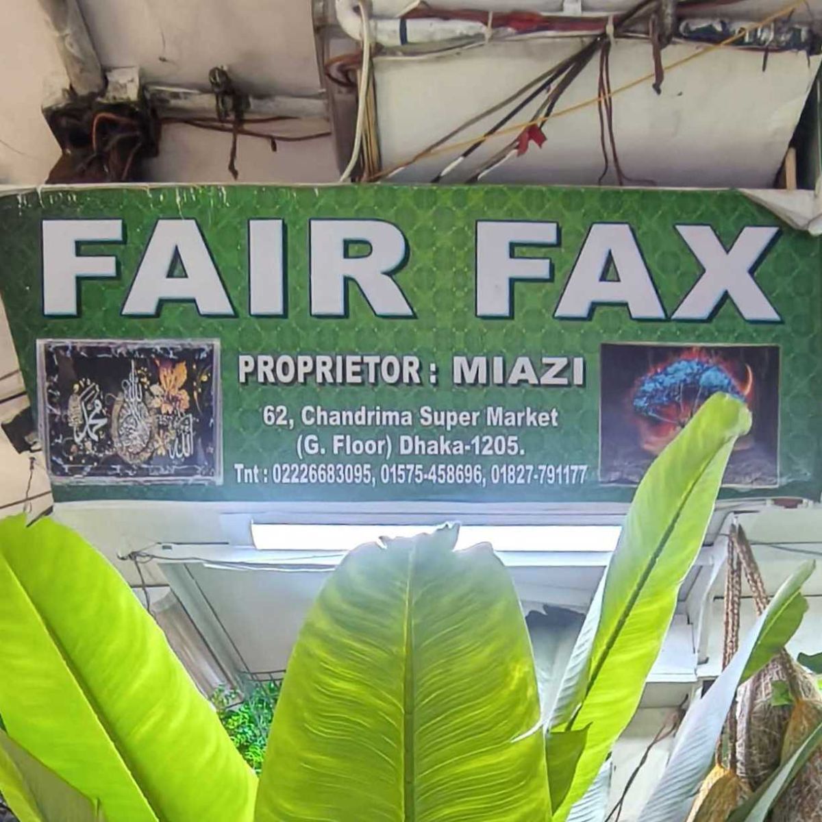 Fair Fax