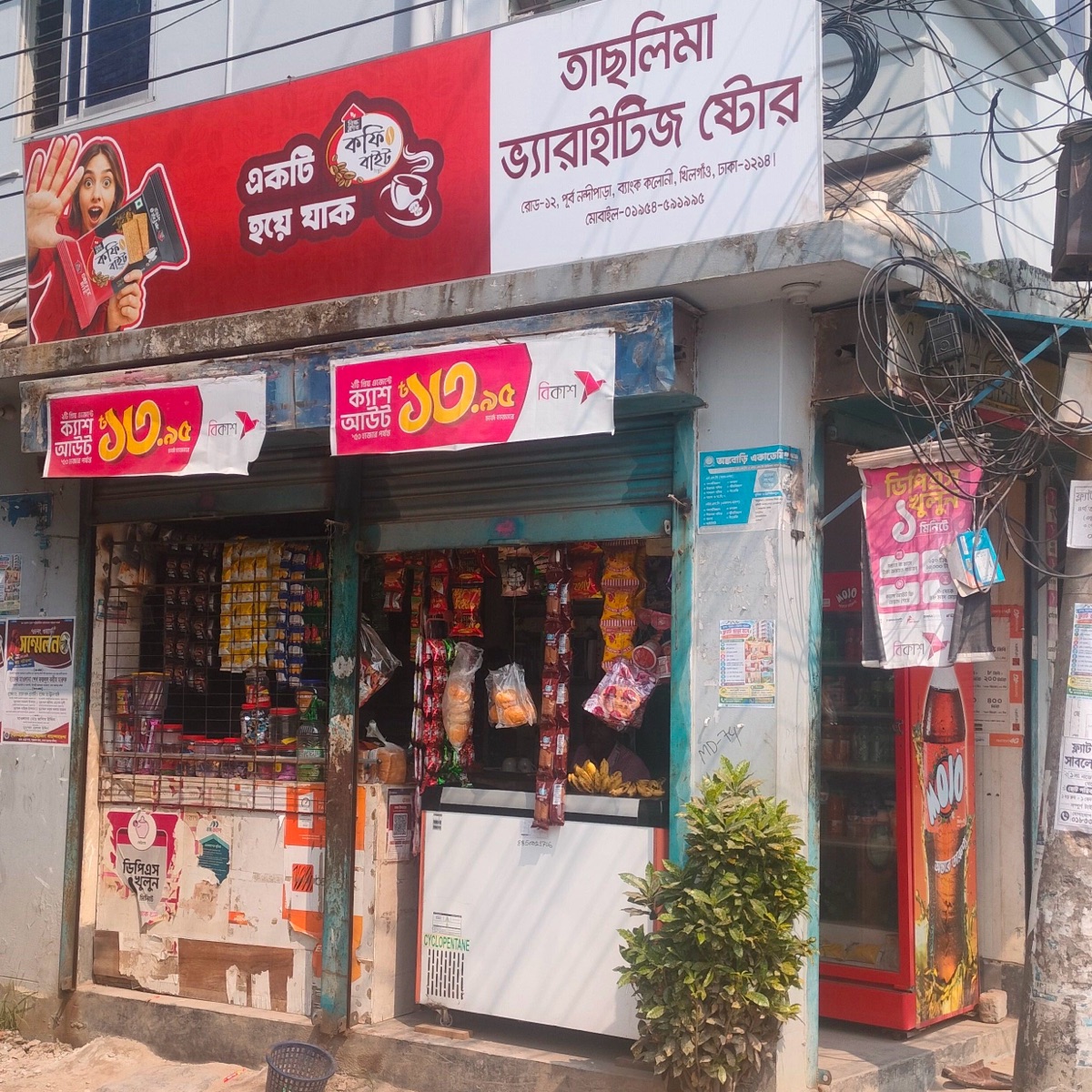 Taslima Varieties  Store