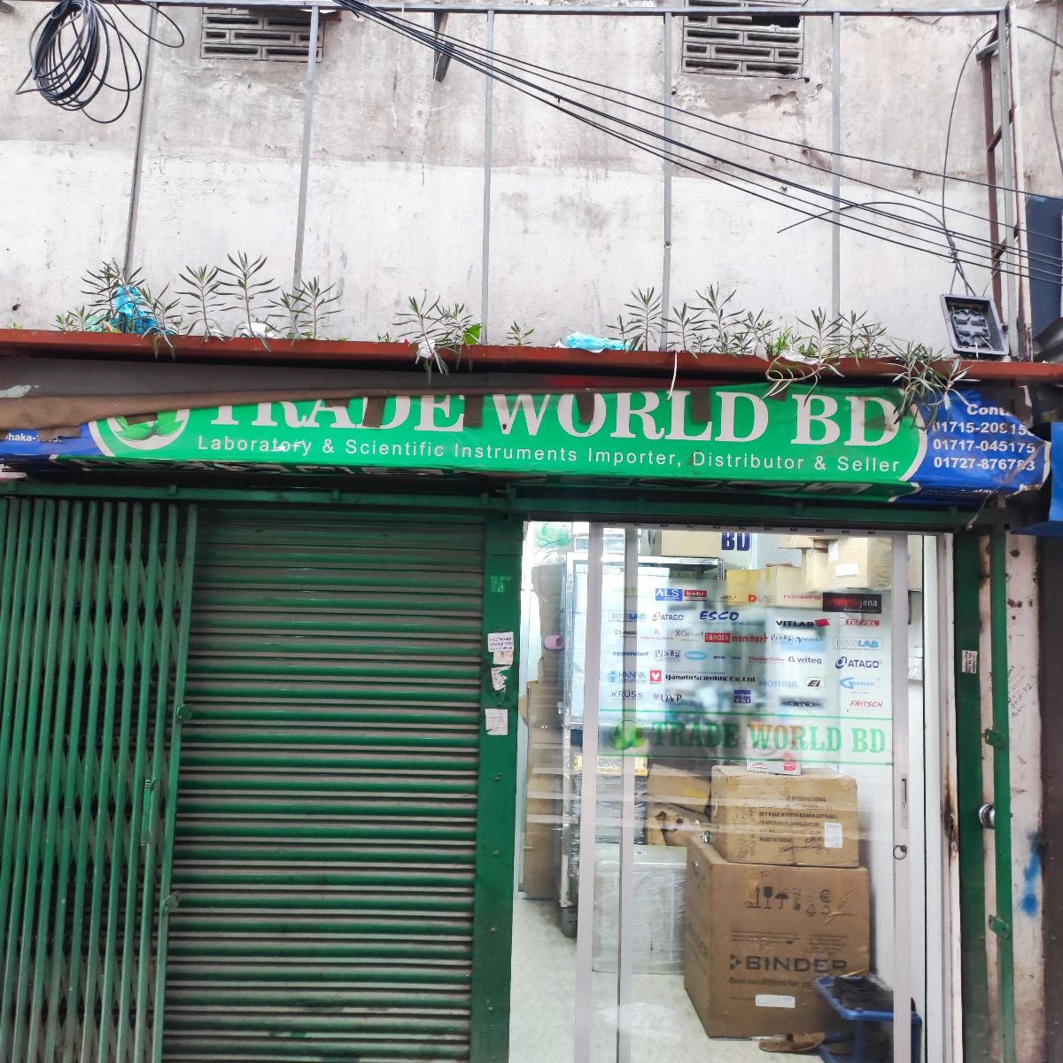 Trade World BD
