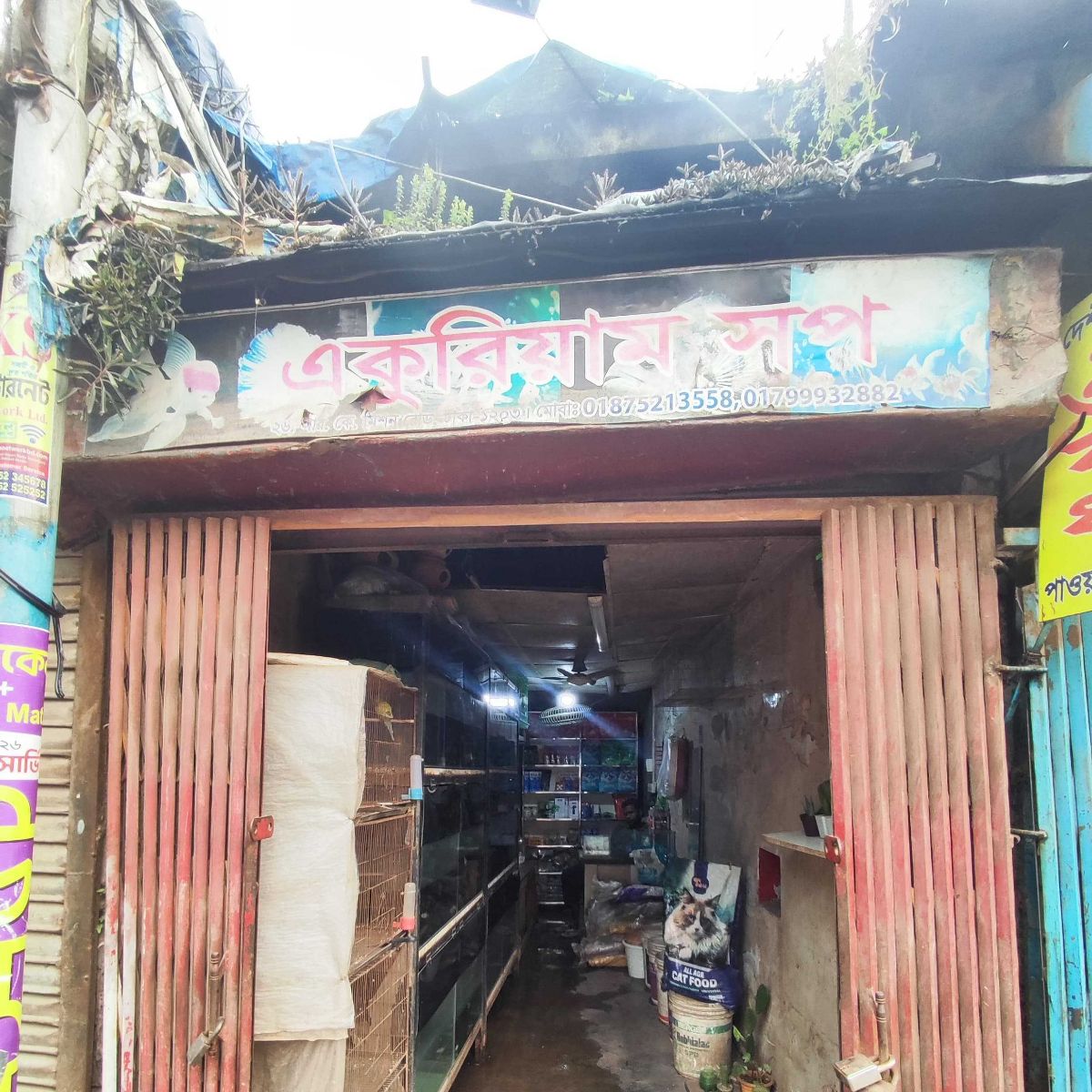 Aquarium Shop