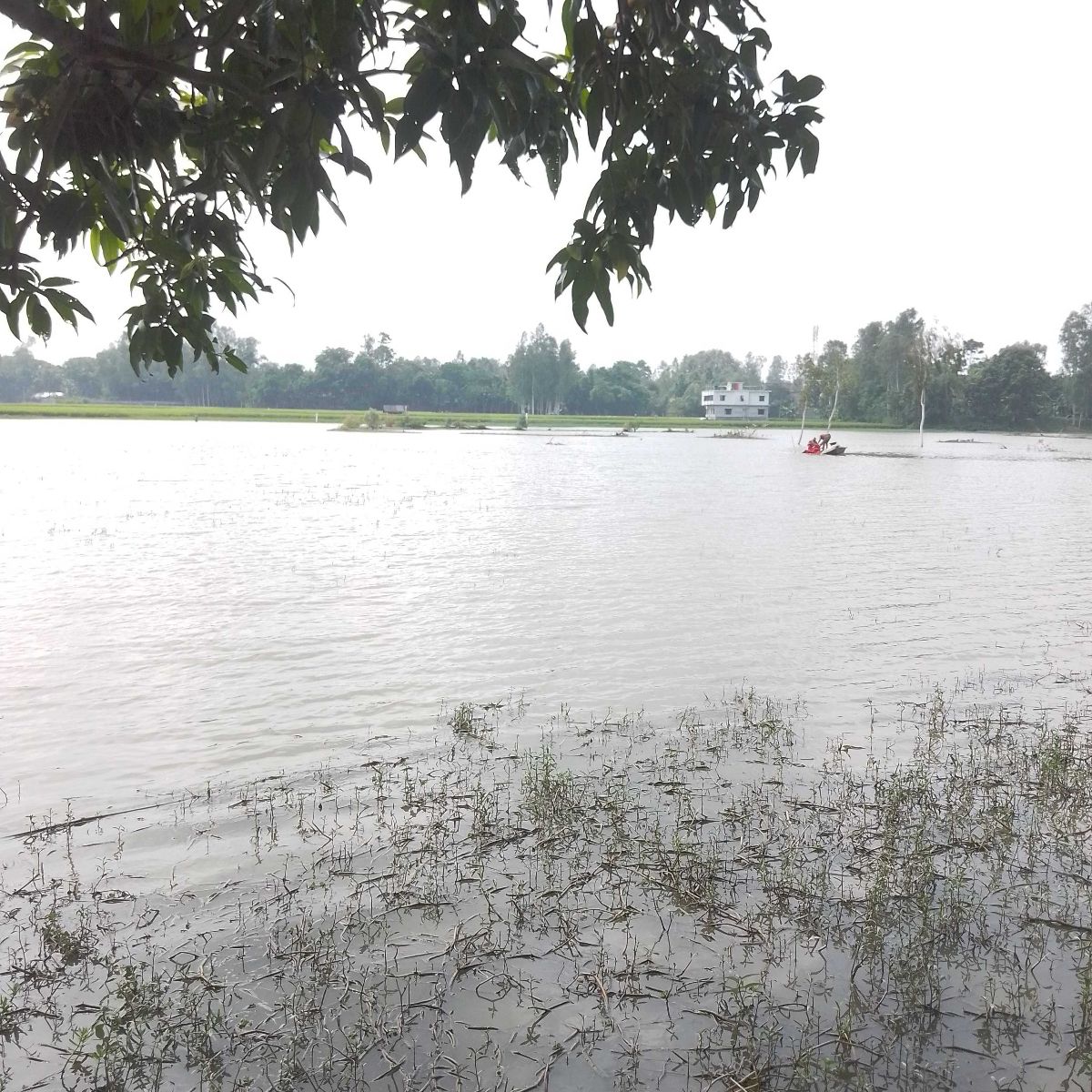 Munna Perojpur Khabar Hotel