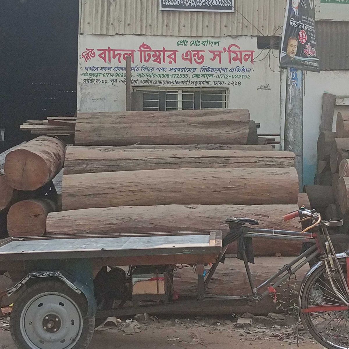 New Badol Timber And "Sa" Mill