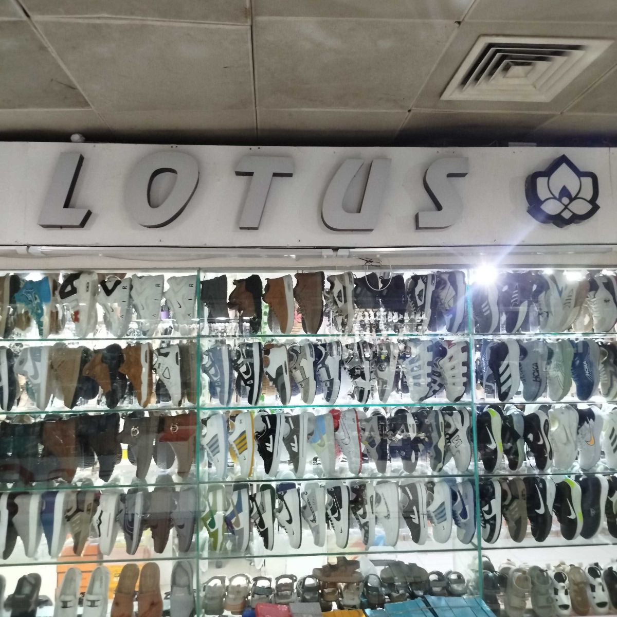 Lotus