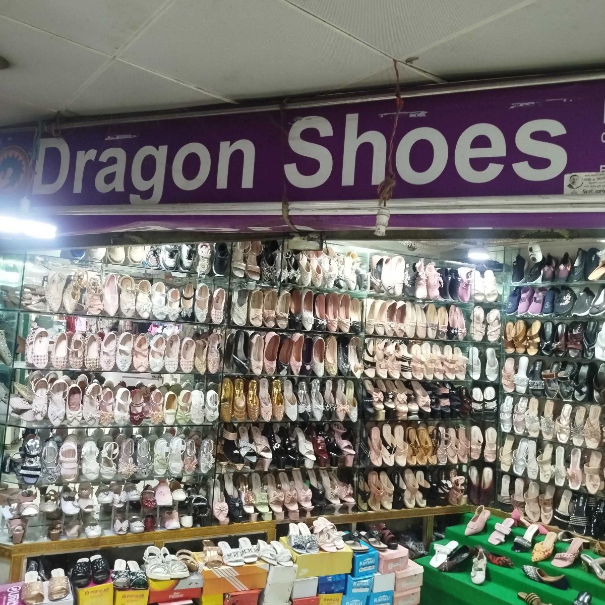 Dragon Shoes