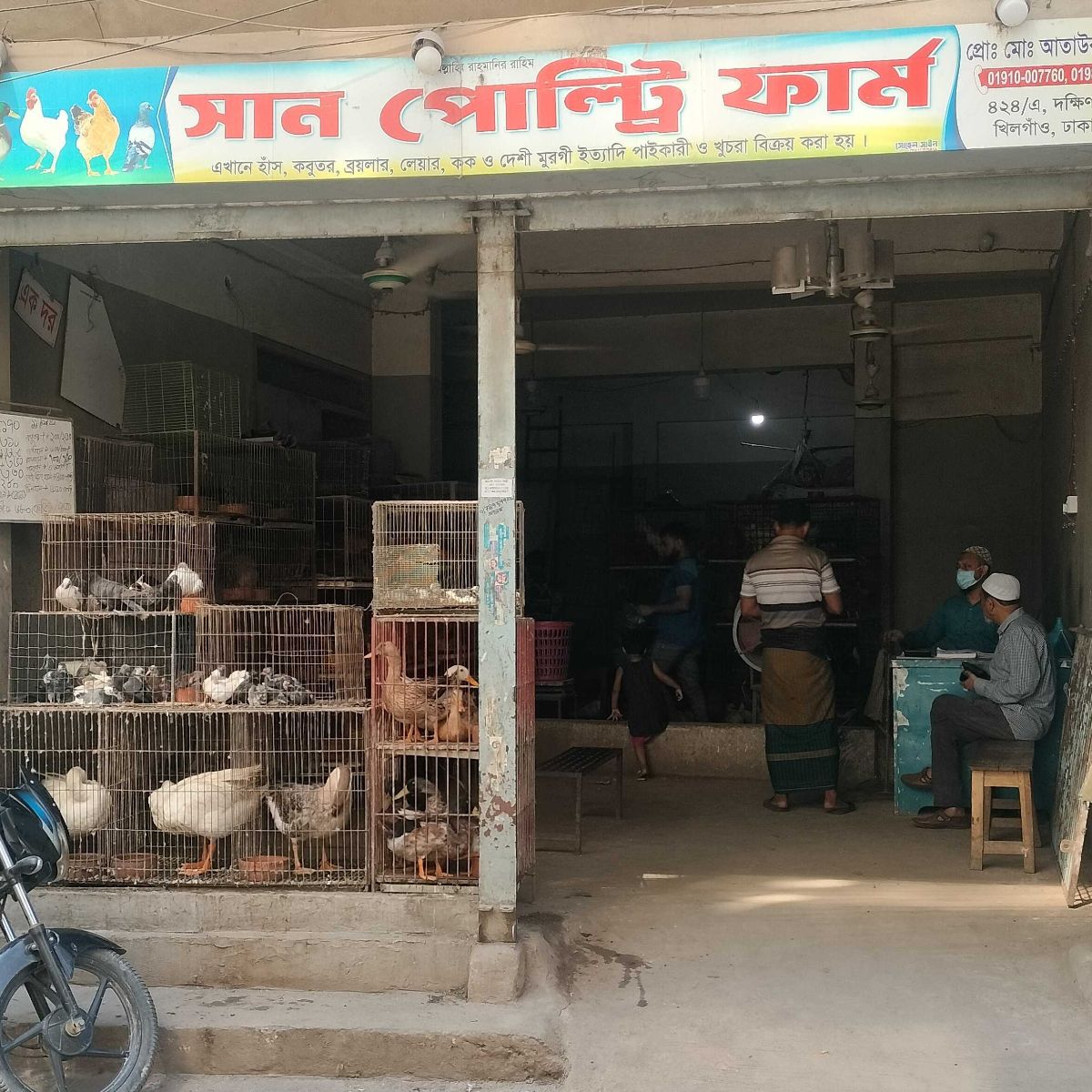 San Poultry Farm