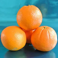 Fresh Lane Late Navel Orange