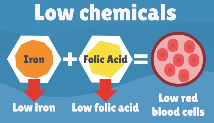 Anemia from Kidney Disease