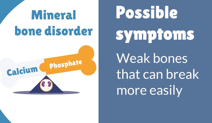 Bone and Mineral Metabolism